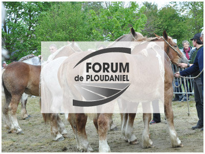 Forum de Ploudaniel
