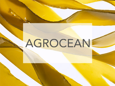 Agrocean